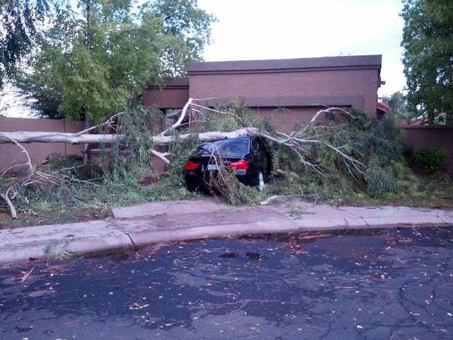 Storm damage